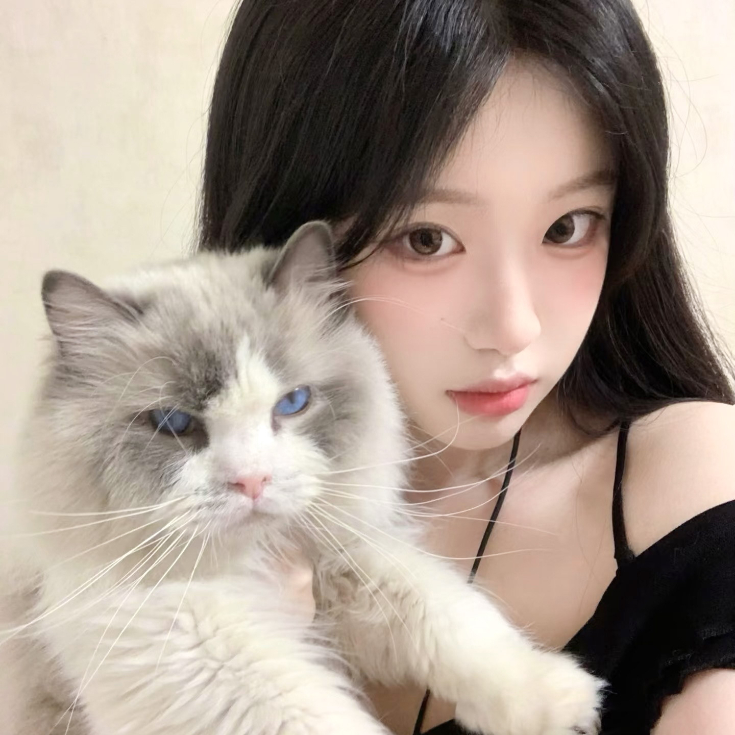 Muzze || Art & History Museum